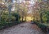 Rincón del parque del Retiro, en Madrid, a finales de noviembre de 2023, en los últimos días de un otoño casi primaveral. (Foto: La Crónic@)