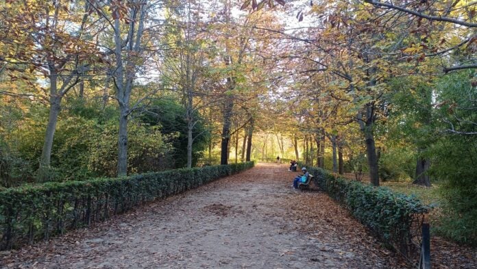 Rincón del parque del Retiro, en Madrid, a finales de noviembre de 2023, en los últimos días de un otoño casi primaveral. (Foto: La Crónic@)