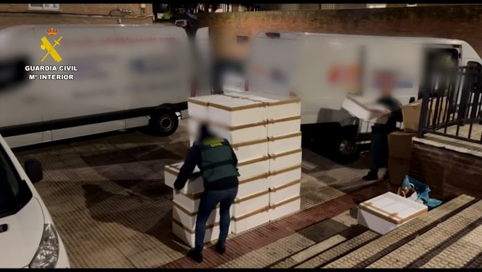 Las angulas vivas las transportaban para su comercio ilegal en todas estas cajas de porexpán. (Foto: Guardia Civil)