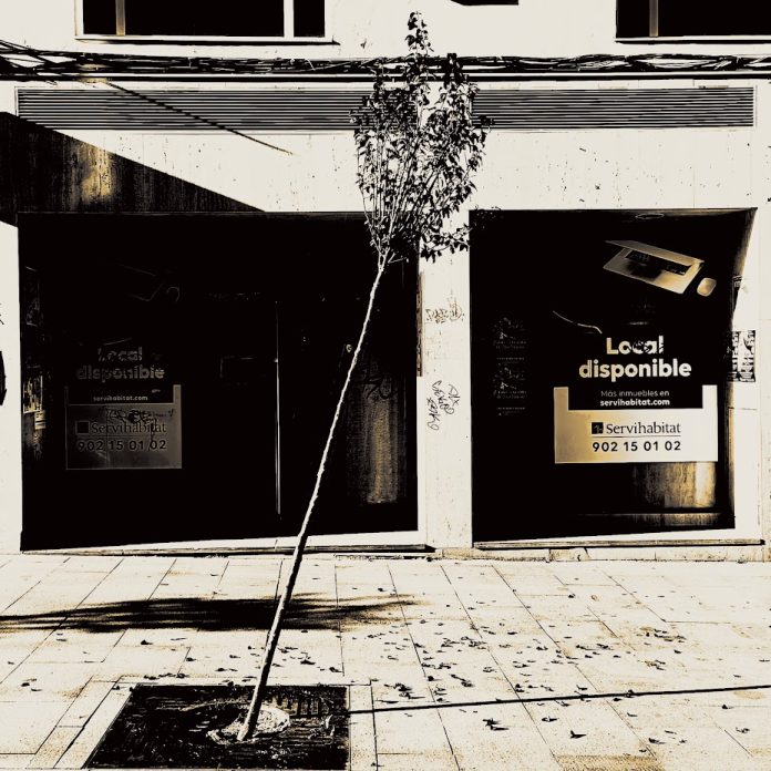 Árbol torcido en Miguel Fluiters. (Foto: La Crónic@)