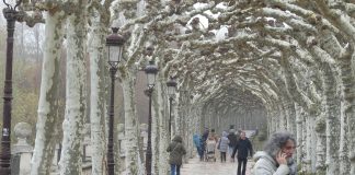 El Paseo del Espolón de Burgos, en el invierno de 2024. (Foto: La Crónic@)
