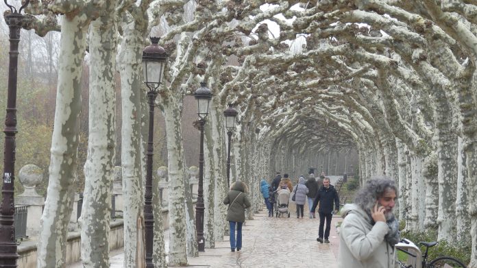El Paseo del Espolón de Burgos, en el invierno de 2024. (Foto: La Crónic@)