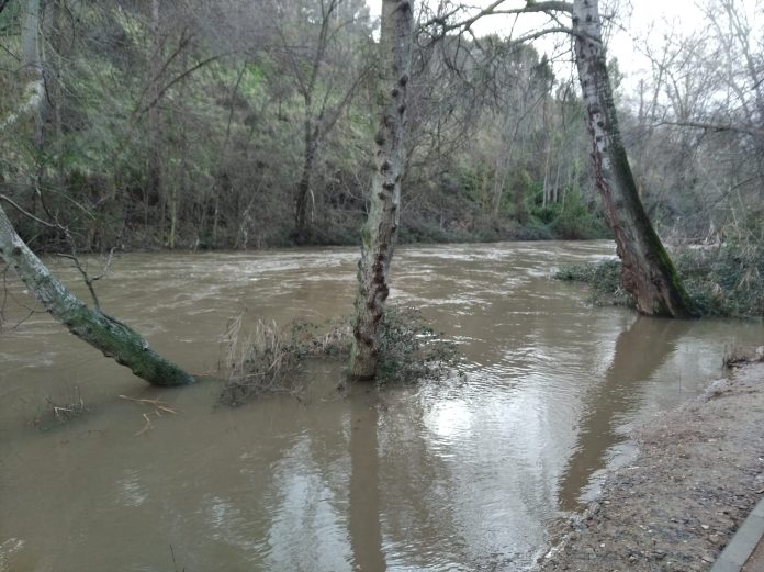 Aspecto del río Henares el pasado miércoles, 17 de enero de 2024.