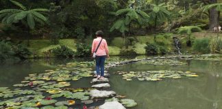 Azores es un paraíso verde y Sao Miguel es su puerta de entrada. (Foto: La Crónic@)