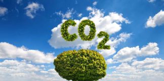 Proponen que los agricultores ganen dinero capturando carbono del aire