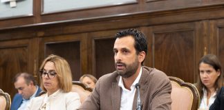 El vicepresidente cuarto de la Diputación, Héctor Gregorio.