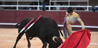 Marco Pérez, toreando al natural en su primera tarde con picadores. En mayo se le podrá ver en Almoguera.