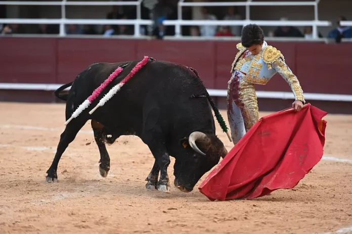 Marco Pérez, toreando al natural en su primera tarde con picadores. En mayo se le podrá ver en Almoguera.