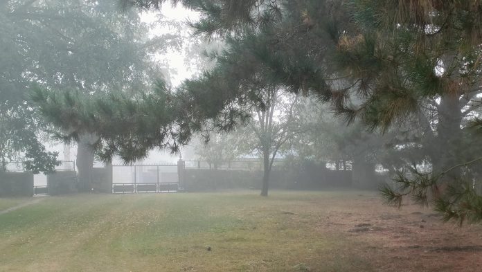 Niebla, viento y lluvia en la previsión del tiempo de este jueves en España. (Foto: La Crónic@)