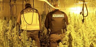 Plantación 'indoor' de marihuana en El Casar, desmantelada por la Policía Nacional y Vigilancia Aduanera.