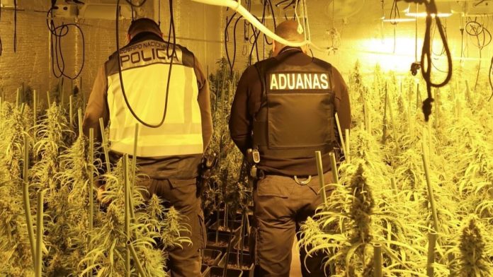 Plantación 'indoor' de marihuana en El Casar, desmantelada por la Policía Nacional y Vigilancia Aduanera.