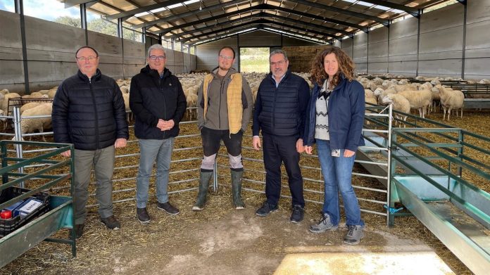 Julián de la Guerra, en su explotación de MIllana.