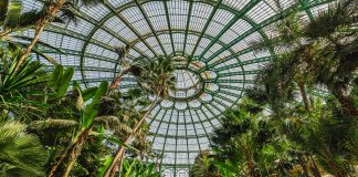 Interior de los Invernaderos Reales de Laeken. (Foto: Jean Paul Remy)