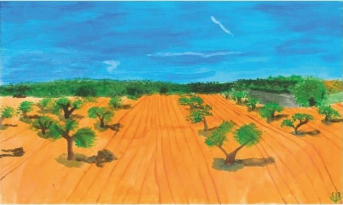 Con este trabajo ha ganado el certamen nacional Sandra Fernández González.