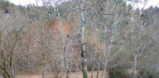 Crecida en el río Henares a su paso por Guadalajara el 10 de marzo de 2024.