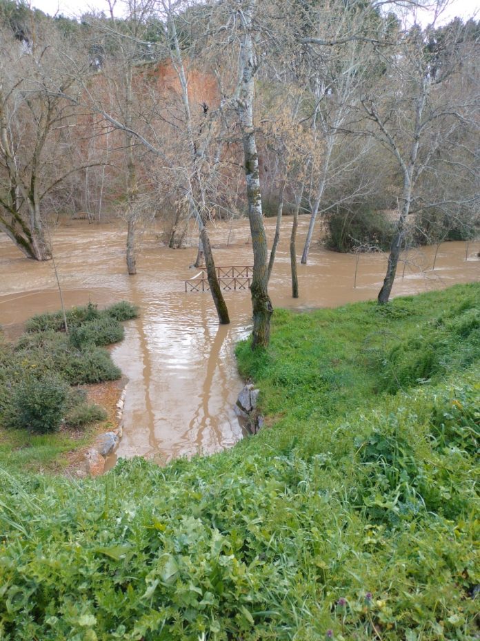 Crecida en el río Henares a su paso por Guadalajara el 10 de marzo de 2024.
