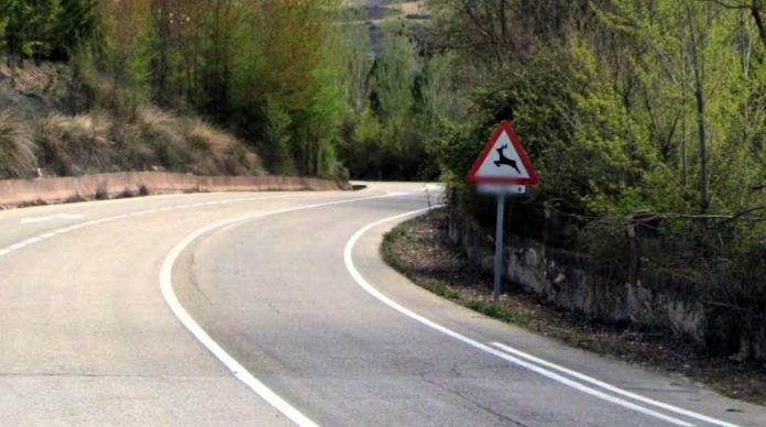 senal-animales-brihuega Señal de tráfico en la carretera donde se ha producido el fatal accidente. (Foto: Google Maps)