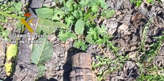 Hacen estallar una granada de mano en la Sierra Norte de Guadalajara Granada de mano desactivada en Campillejo. (Foto: Guardia Civil)