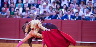 El diestro Juan Ortega en la Maestranza, la tarde de su gran éxito. (Foto: EP)