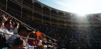 Sabor alcarreño en Las Ventas