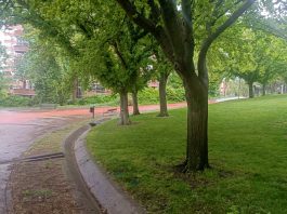 Parque de la Constitución, en Guadalajara, en mayo de 2024. (Foto: La Crónic@)