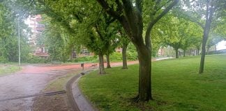 Parque de la Constitución, en Guadalajara, en mayo de 2024. (Foto: La Crónic@)