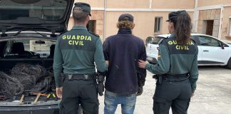 Uno solo se ha bastado para dejar sin teléfono y sin cable de cobre a 7 pueblos de Guadalajara El detenido por el robo del cobre, flanqueado por dos agentes de la Guardia Civil.