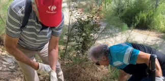 Limpieza del río Henares por voluntarios, en Guadalajara, el 15 de junio de 2024.