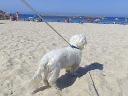 Día de playa
