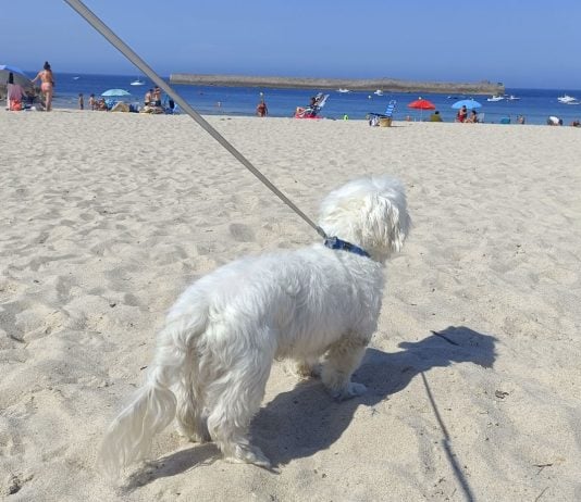 Día de playa