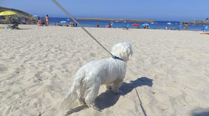 Día de playa