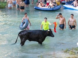 Vacas al tajo