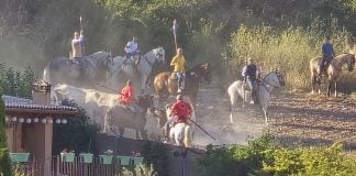Se esperaba un multitudinario encierro de Brihuega encierro de brihuega