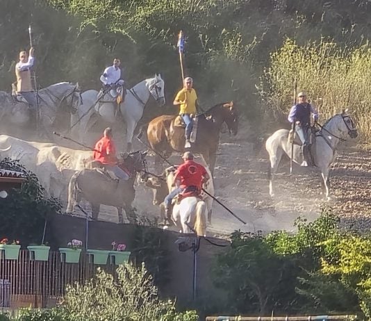 encierro de brihuega