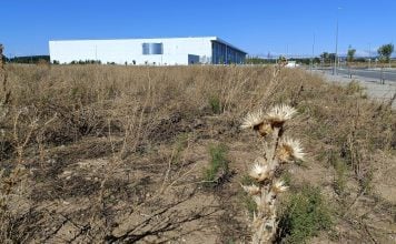 Cummins renuncia a 8 millones en ayudas (pero le han concedido 11 millones más) Una de las parcelas próximas a la factoría de Cummins en el polígono de El Ruiseñor, en Guadalajara en septiembre de 2024. (Foto: La Crónic@)