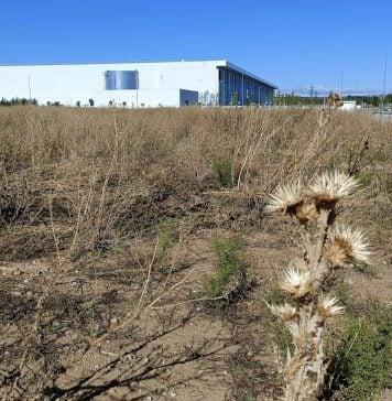 Cummins renuncia a 8 millones en ayudas (pero le han concedido 11 millones más) Una de las parcelas próximas a la factoría de Cummins en el polígono de El Ruiseñor, en Guadalajara en septiembre de 2024. (Foto: La Crónic@)