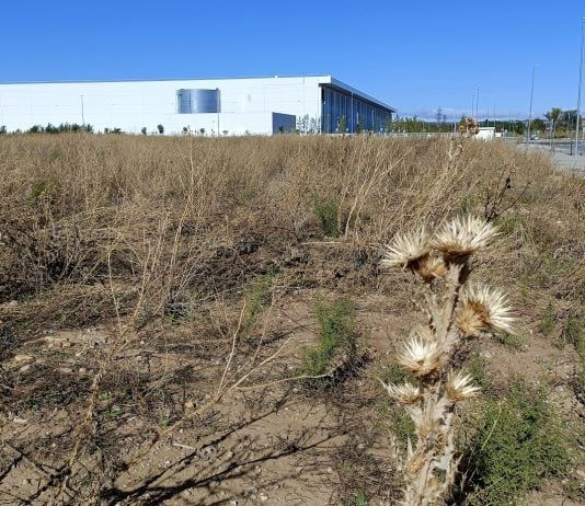 Una de las parcelas próximas a la factoría de Cummins en el polígono de El Ruiseñor, en Guadalajara en septiembre de 2024. (Foto: La Crónic@)