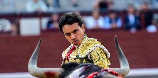Juan de Castilla ante la tremenda arboladura de uno de sus oponentes, este domingo en Madrid. (Foto: Plaza 1)