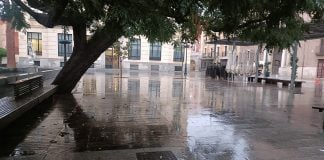 Este árbol de gran porte en el Jardinillo ya no existe. (Foto: La Crónic@)