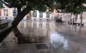Este árbol de gran porte en el Jardinillo ya no existe. (Foto: La Crónic@)