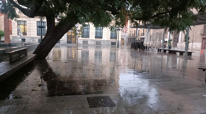 Este árbol de gran porte en el Jardinillo ya no existe. (Foto: La Crónic@)