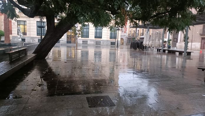 Este árbol de gran porte en el Jardinillo ya no existe. (Foto: La Crónic@)