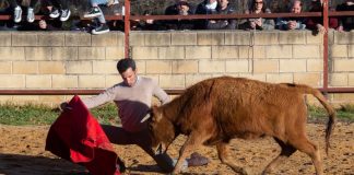 El tentadero de David de Miranda en Valdesaz, en imágenes David de Miranda, de tentadero en Valdesaz el 11 de enero de 2025.