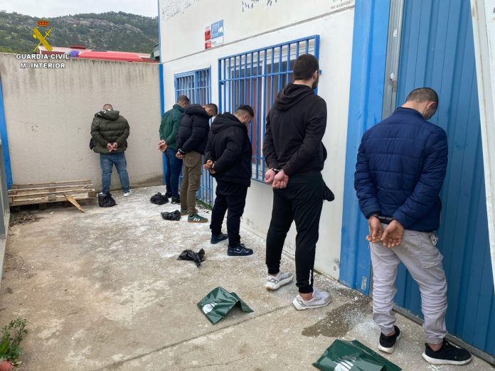 Estos seis sujetos detenidos cuidaban de la plantación de marihuana de la mafia albanesa en Almonacid. Otros dos responsables han caído después. (Foto: Guardia Civil)