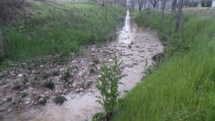 Uno de los arroyos de Cabanillas del Campo, sin riesgo ya de desbordamiento en marzo de 2025. (Foto: La Crónic@)