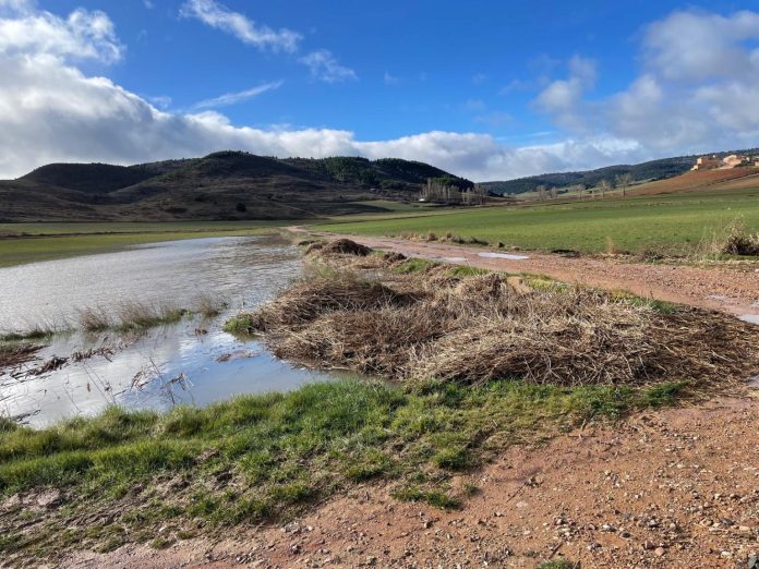 Son varias las comarcas de Guadalajara que han visto sus cultivos gravemente afectados por las últimas lluvias. (Foto: APAG)