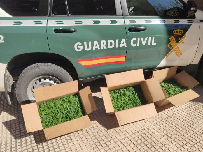 Droga aprehendida por la Guardia Civil tras detener a una persona en Torrejón del Rey.