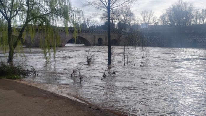 Hasta esta altura llegaba el río Henares el domingo, 23 de marzo de 2025, bajo el puente nuevo. (Foto: La Crónic@)