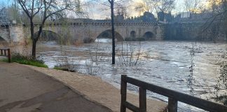 El agua ya cubre toda la anchura posible del cauce del Henares a la altura del puente árabe y casi alcanza la senda bajo el puente nuevo. La imagen es del amanecer del domingo, 9 de marzo de 2025. (Foto: La Crónic@)