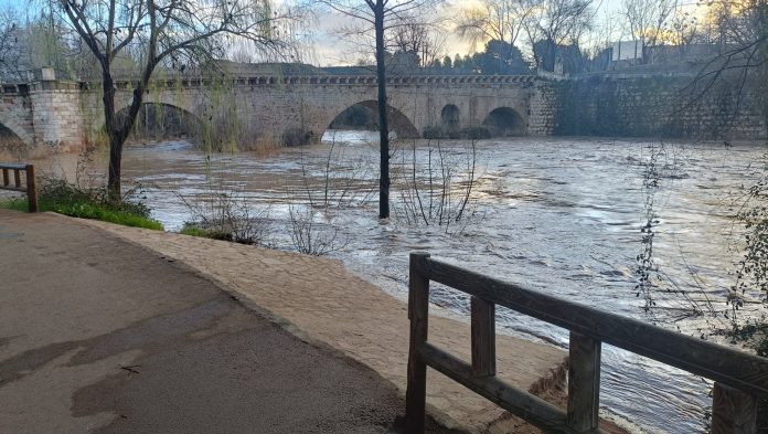 El agua ya cubre toda la anchura posible del cauce del Henares a la altura del puente árabe y casi alcanza la senda bajo el puente nuevo. La imagen es del amanecer del domingo, 9 de marzo de 2025. (Foto: La Crónic@)